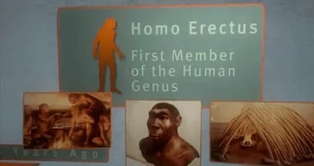 Hunt Thompson Media | THE PERFECT HUMAN DIET documentary or television frame showing finished ECG production work.