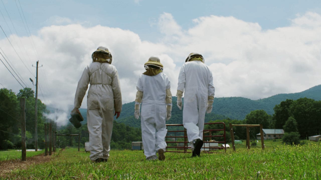 Bayer Crop Science | Bayer Bee Care Community Leadership Award article image for video marketing, brand storytelling, and campaign strategy.