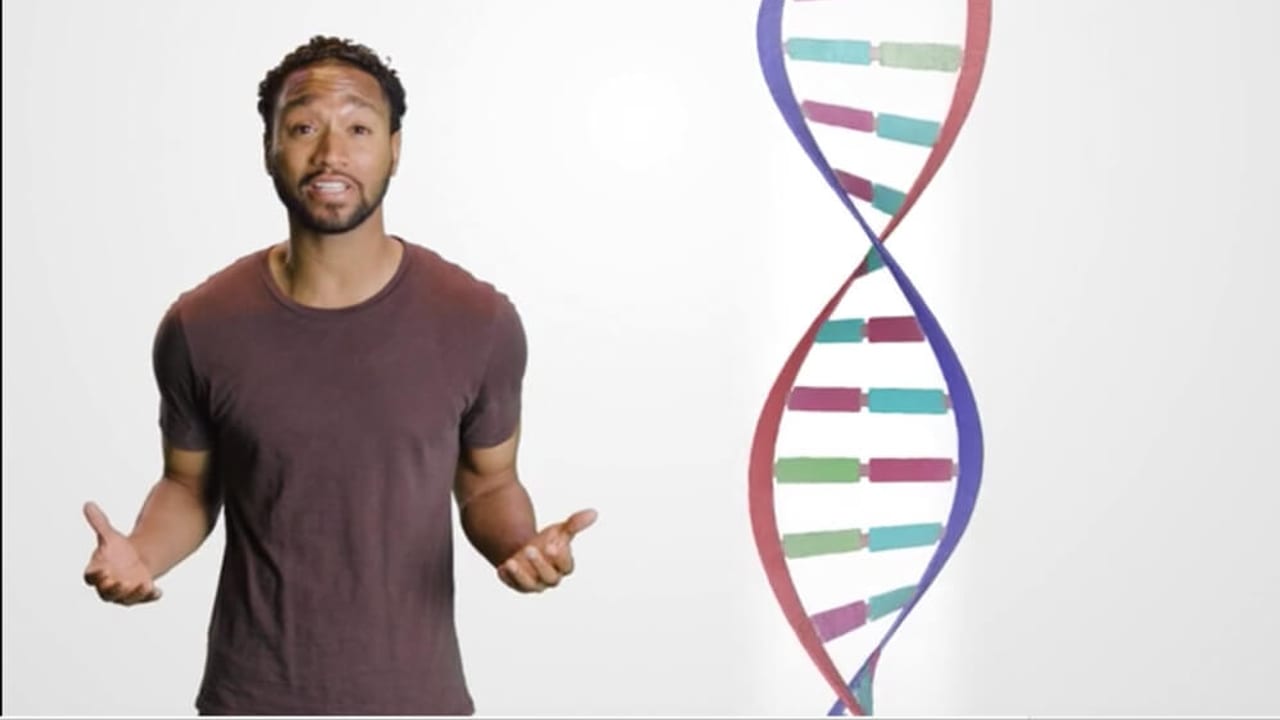Any Lab Test Now | Ancestry Origins Test article image for video marketing, brand storytelling, and campaign strategy.