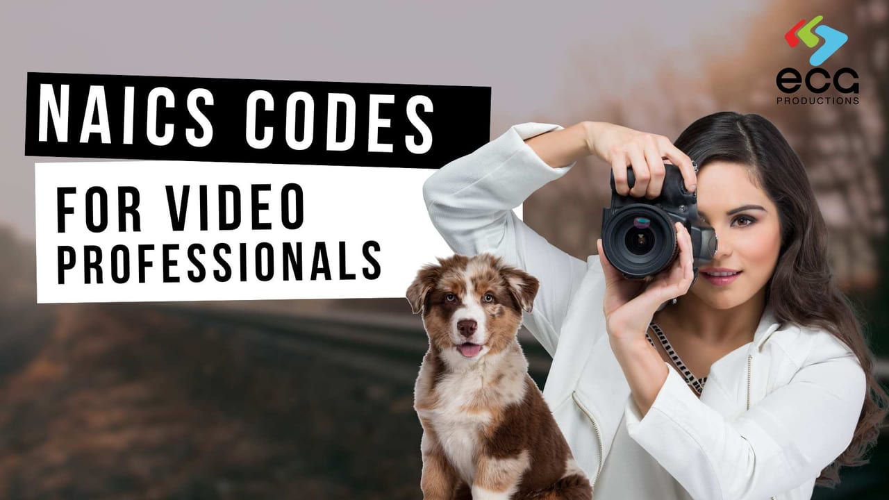 NAICS Codes for Video Professionals article image for video production planning, budgets, and business decisions.
