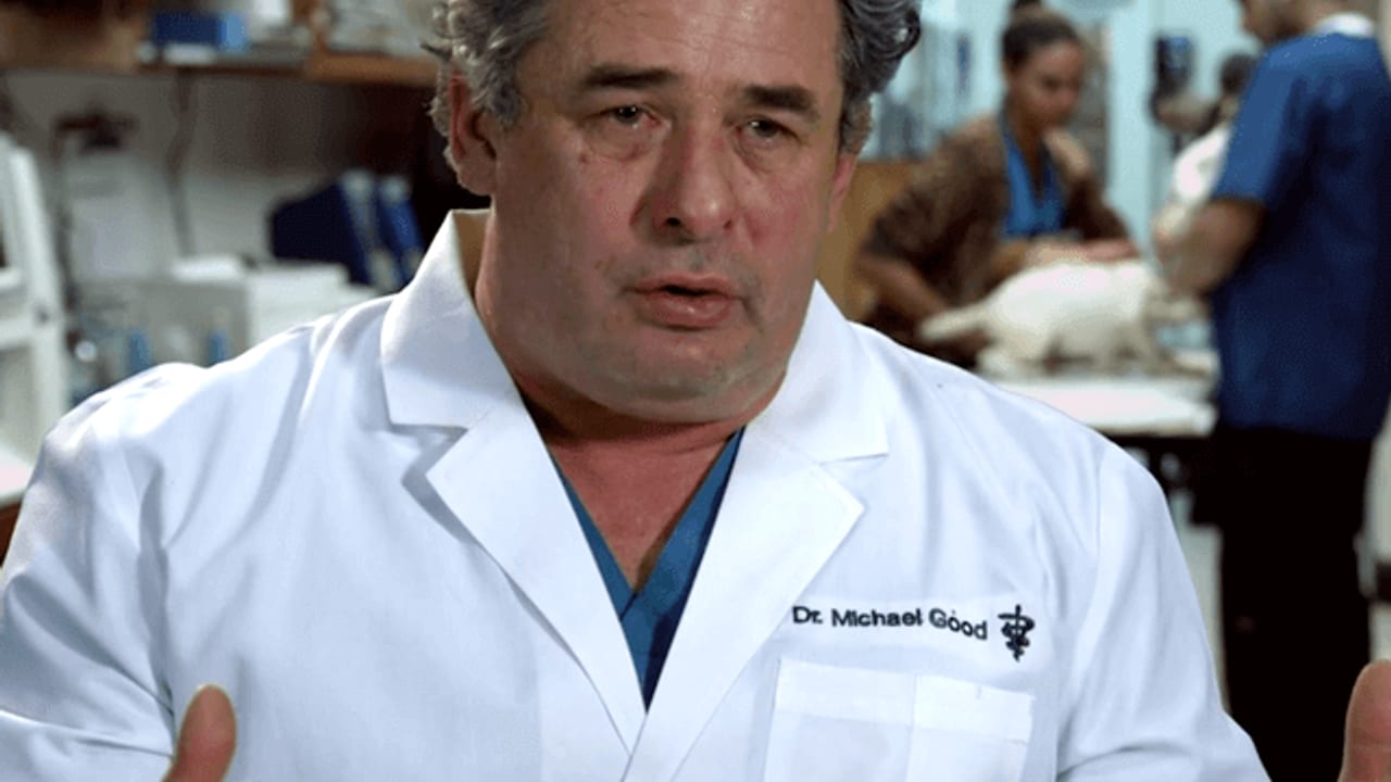 Dr. Good: A Pet Rescue Mission portfolio image from ECG Productions.