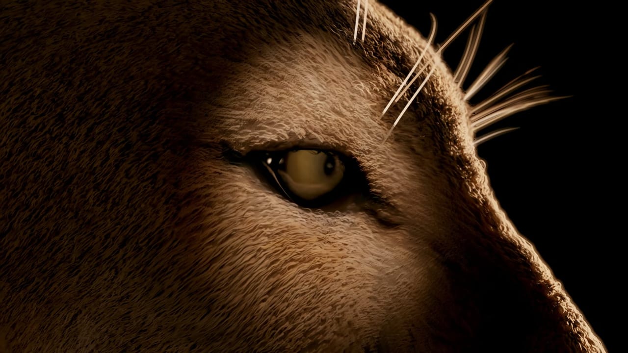 FOX Sports | Florida Panthers - 2019 Logo Animation preview.