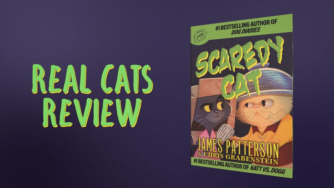 James Patterson | Scaredy Cat - If These Cats Could Talk preview.