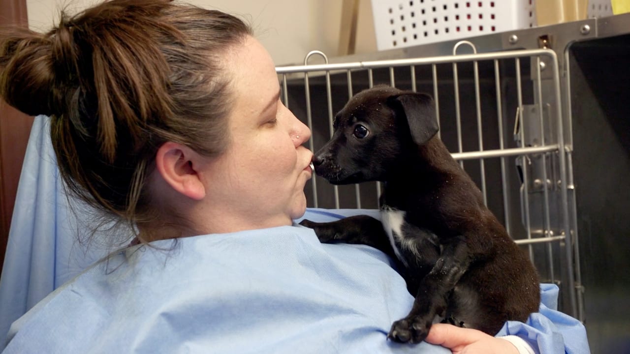 Petco | Unsung Heroes - Episode 5 preview.