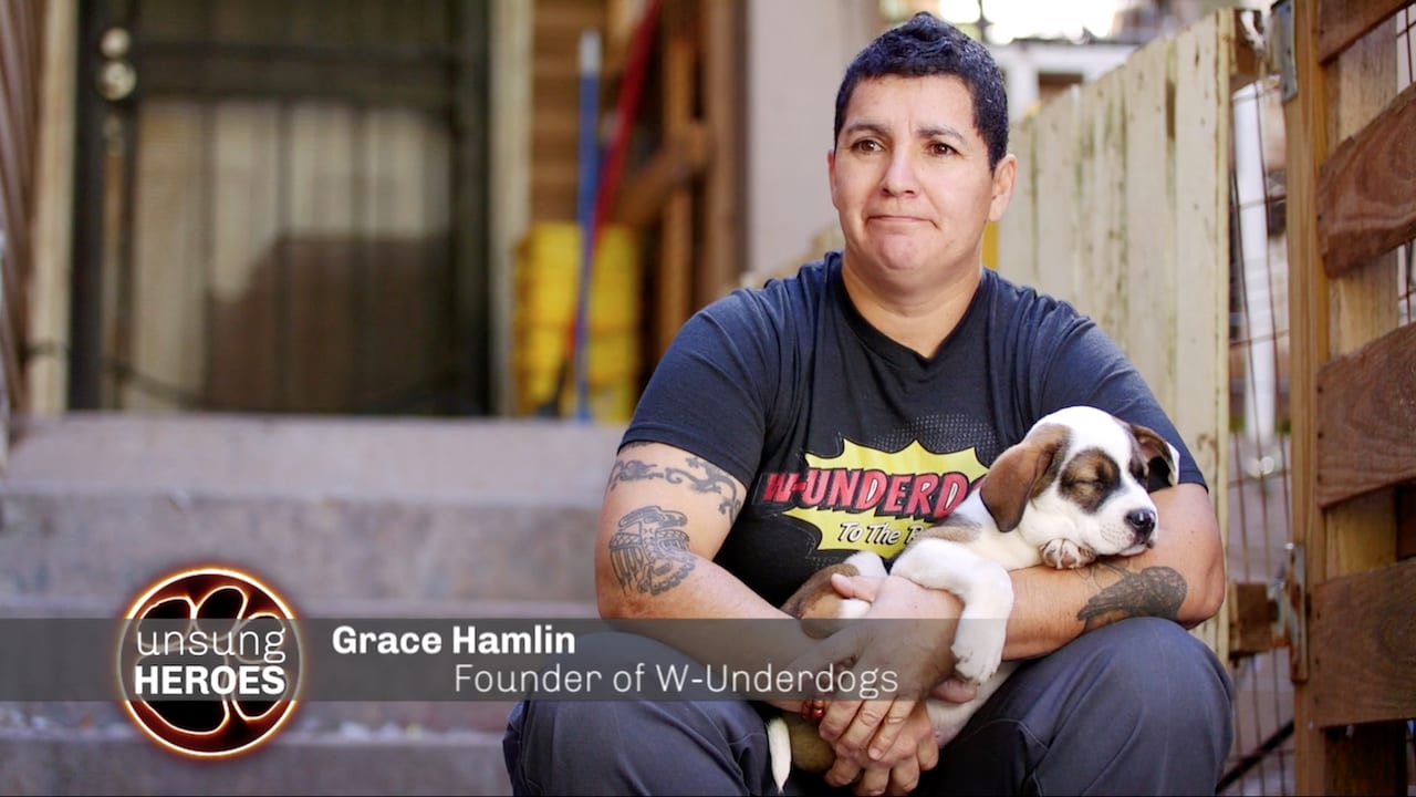 Petco | Unsung Heroes - Episode 1 preview.
