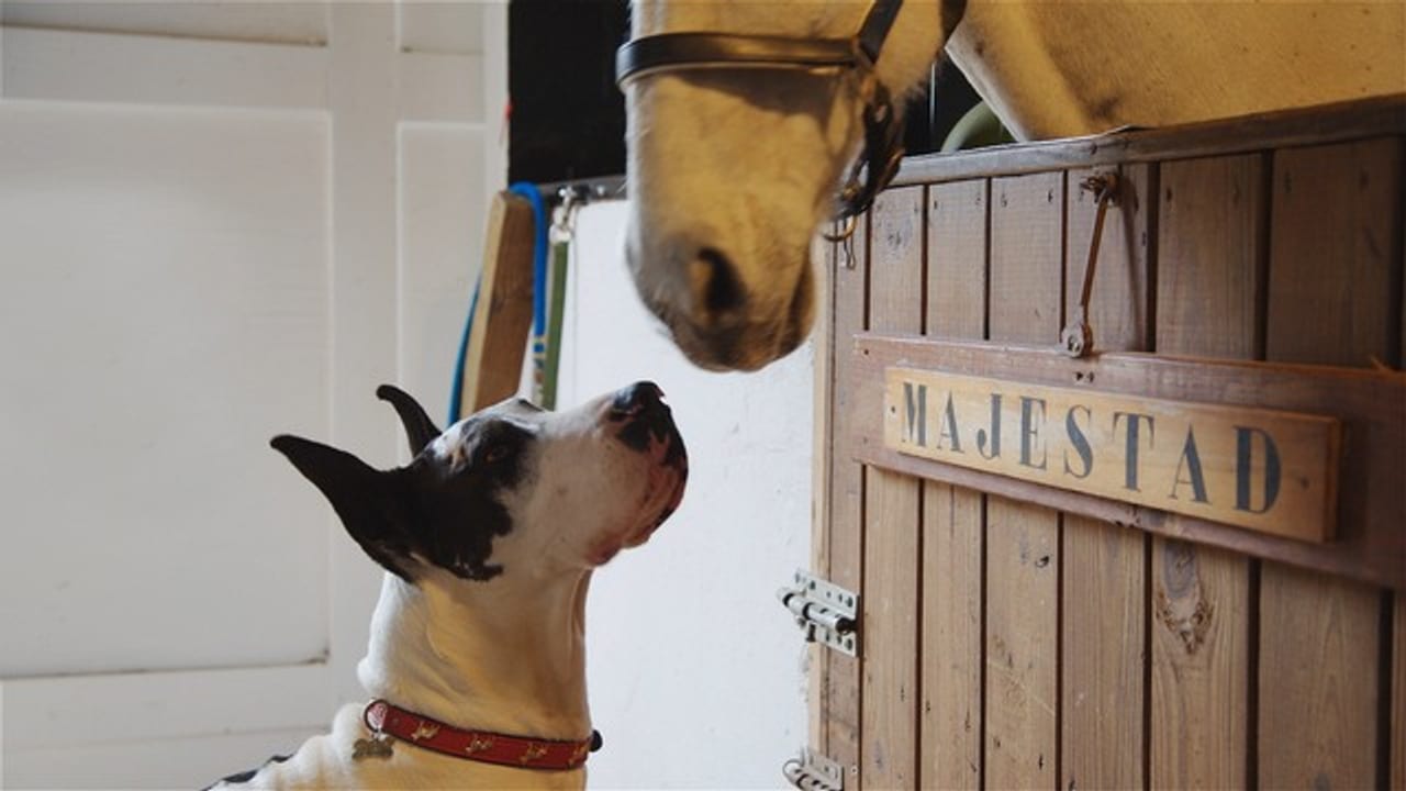 PIGGYBACKING OFF OF BIG BRAND SUCCESS article image for video marketing, brand storytelling, and campaign strategy.