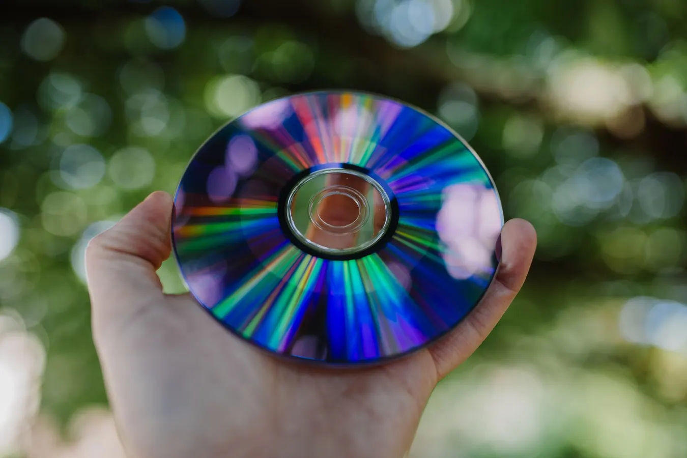 DVDs: 5 Modern Alternatives To A Classic Option documentary or television frame showing finished ECG production work.
