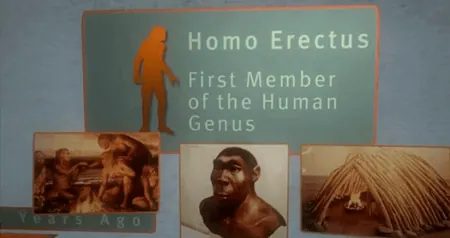 Hunt Thompson Media | THE PERFECT HUMAN DIET documentary or television frame showing finished ECG production work.