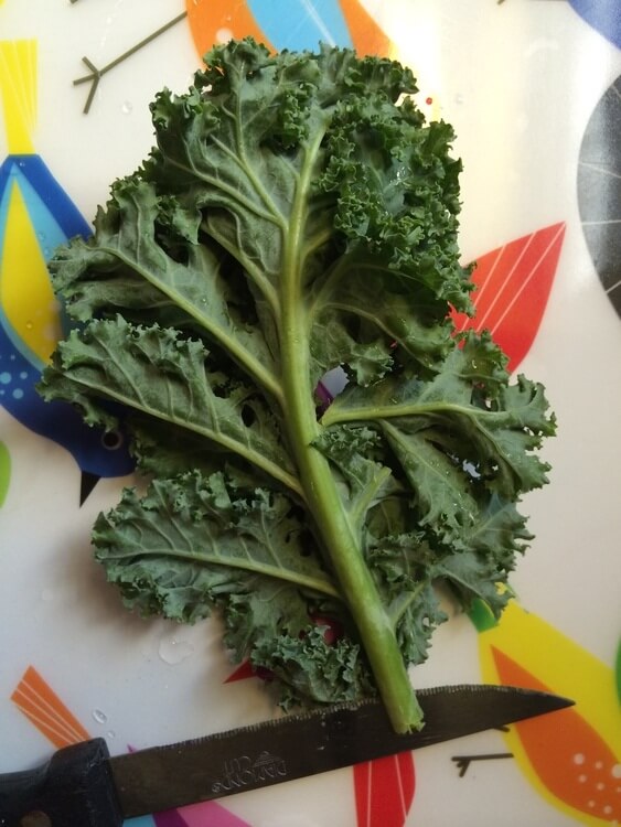 Paleo Video Production Food Kale ECG Productions