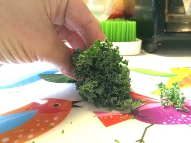 Rolled Up Kale - How to Shred Kale