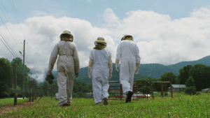 Beekeepers walking away