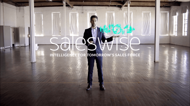 Business man discussing Saleswise