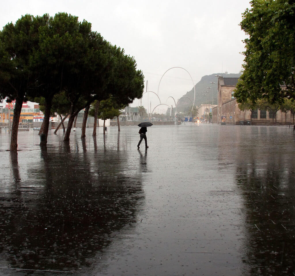 Rain diffuses light and makes scenes gray with soft light