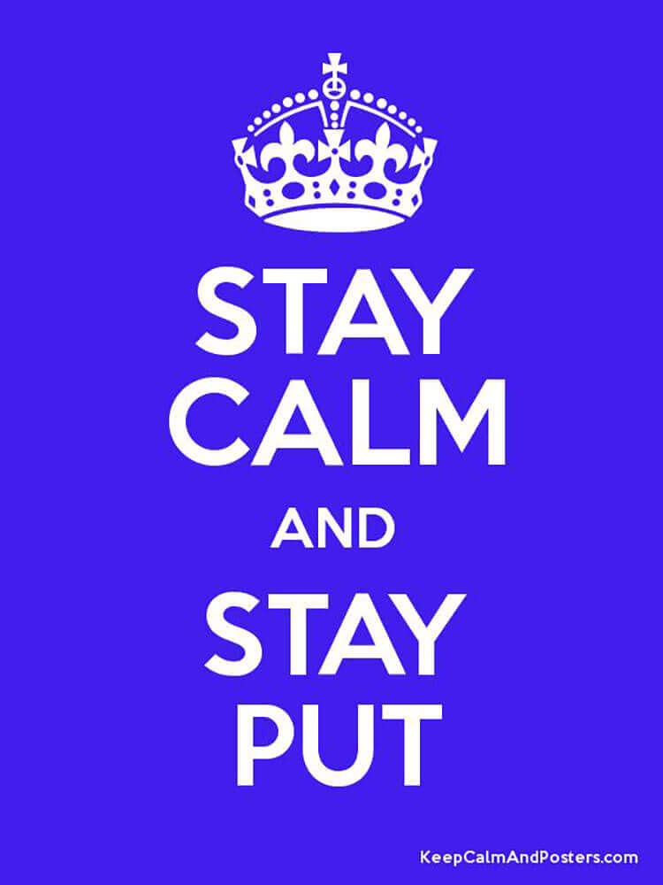 "Stay" meme that says "Stay Calm and Stay Put."