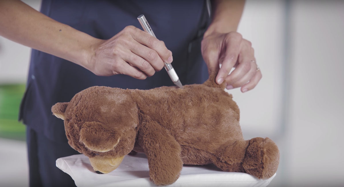 A physician’s assistant treats a teddy bear with minimally-invasive spine surgery at Resurgens Orthopaedics.