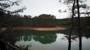 A drone shot of a lake within a Georgia state park