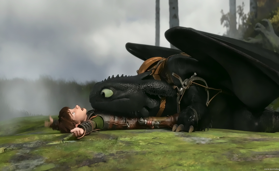 How to Train Your Dragon - A young boy and dragon lay on the ground.