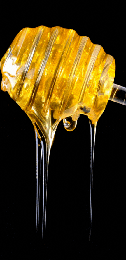 A 3D-rendered honey dripper dripping golden honey against a black background, showcasing the realism and detail achieved through professional 3D animation.