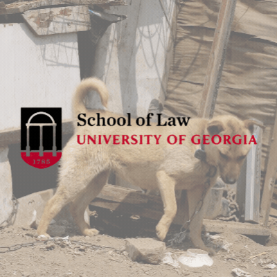 UGA School of Law Dog On A Leash Chain