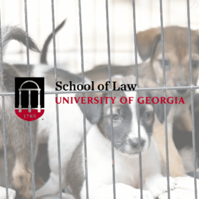 UGA Law School Beyond Sheltering