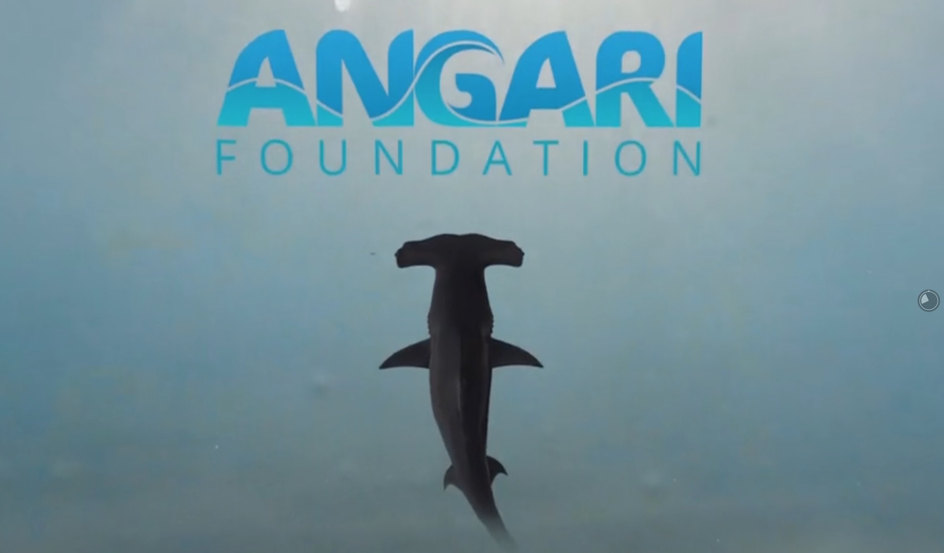 ANGARI