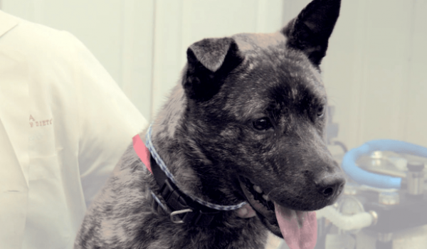 Screen Shot 2014-08-15 at 11.50.52 AM