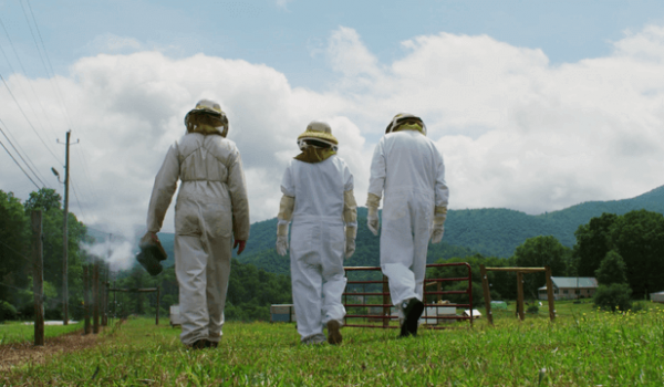 Beekeepers walking away