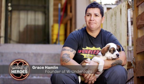 A woman sits while holding a sleeping dog in her arms.